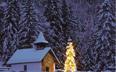 Weihnachtsgruß 2016